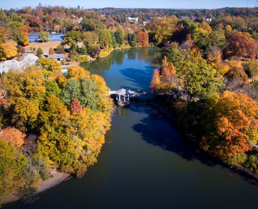 Four Best Spots to See Fall Leaves in Piedmont Park