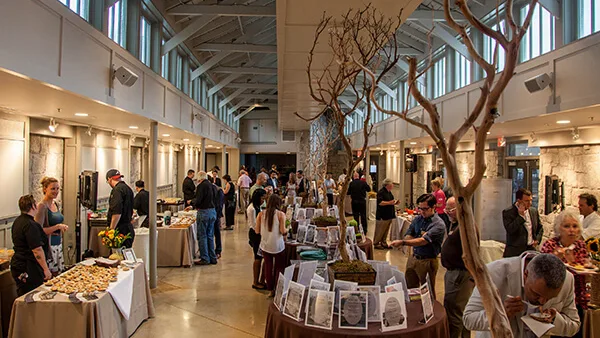 Corporate-Non-Profit Corporate-Non-Profit