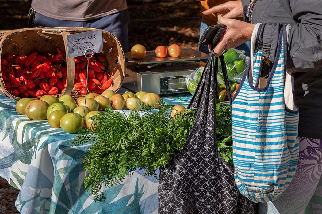 Green Market at Piedmont Park photo 9