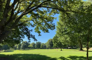 2020-piedmont-park-summer