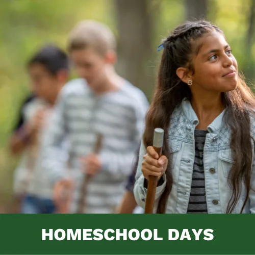 Homeschool Days