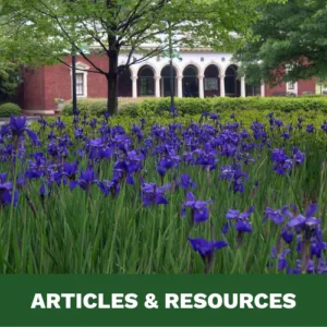 Articles and Resources Image