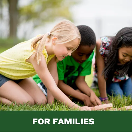 Learn Website Images For Families