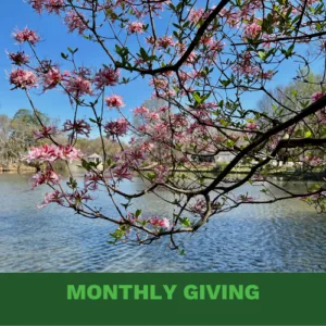 Monthly Giving Butoon