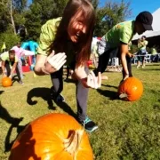 Atlanta Greek Event Blog Pumpkin