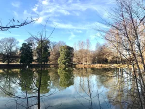 piedmont-park-in-winter