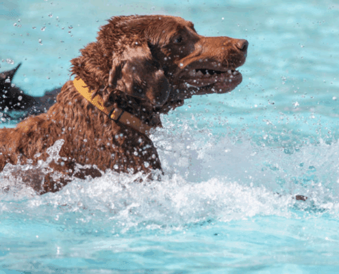 Untitled design - 2025-10-27T103152.152