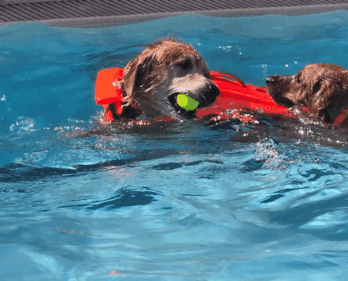 Untitled design - 2025-10-27T103158.966