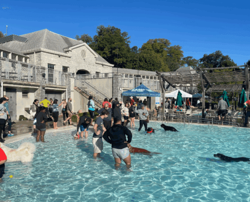 Untitled design - 2025-10-27T103204.018