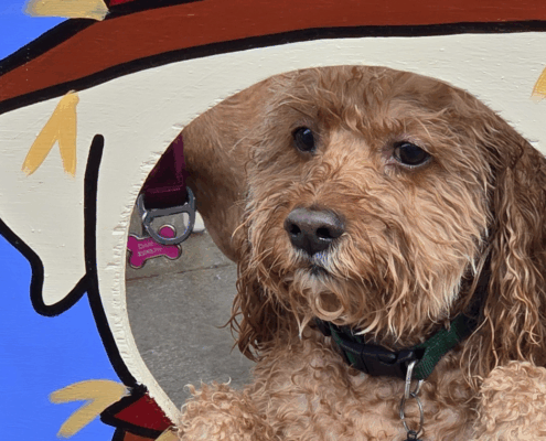 Untitled design - 2025-10-27T103212.288