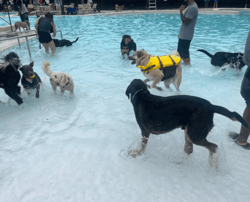 Untitled design - 2025-10-27T103220.847