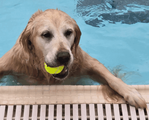 Untitled design - 2025-10-27T103225.784