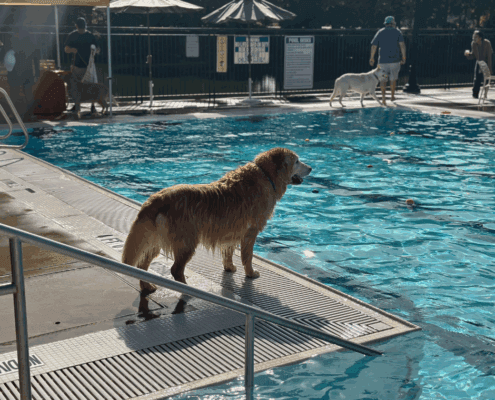 Untitled design - 2025-10-27T103231.308