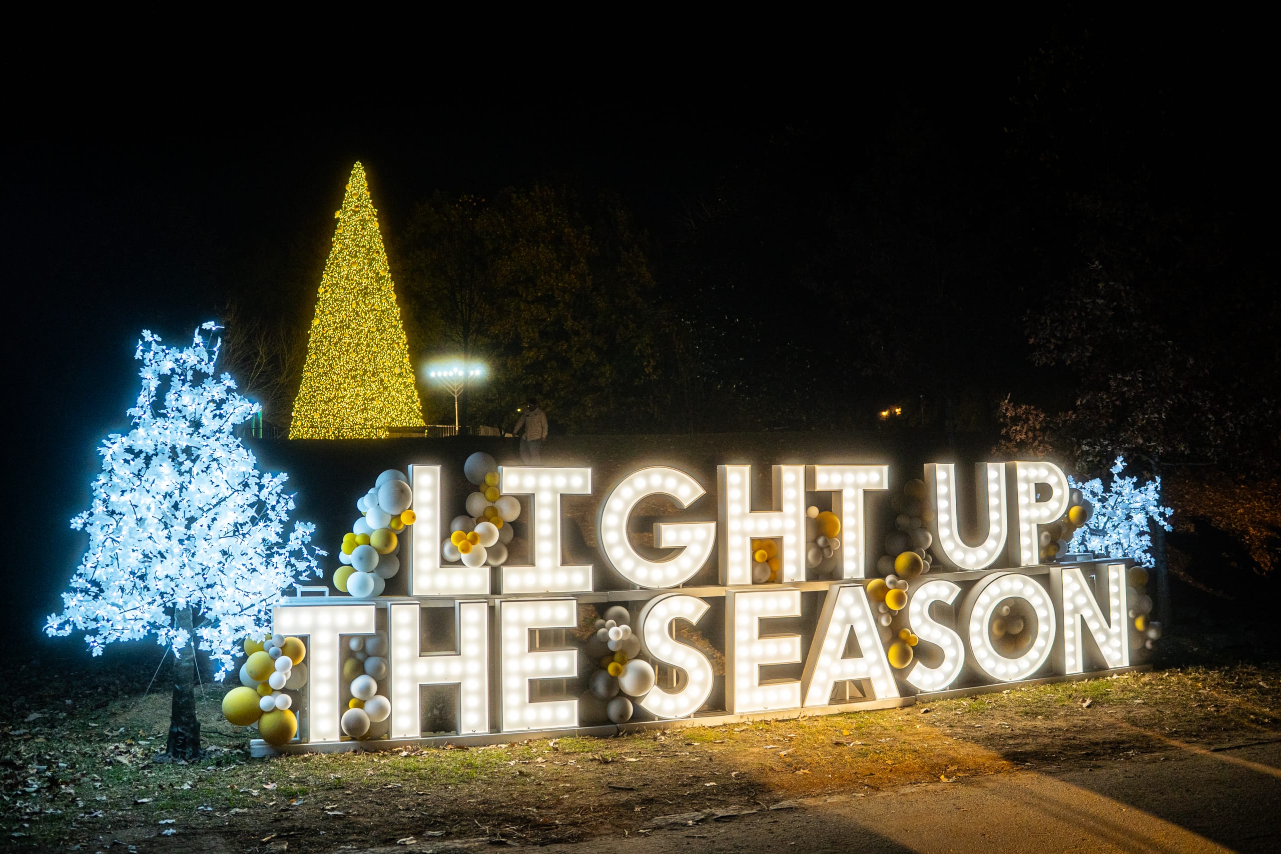 Copy of Copy of DVPhoto_11-23-25_AC-15