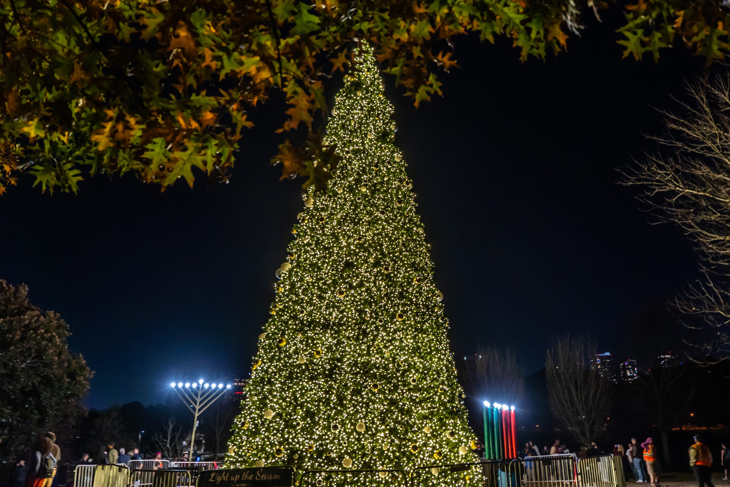 DVPhotoVideo2025_1123_193926-01694MG