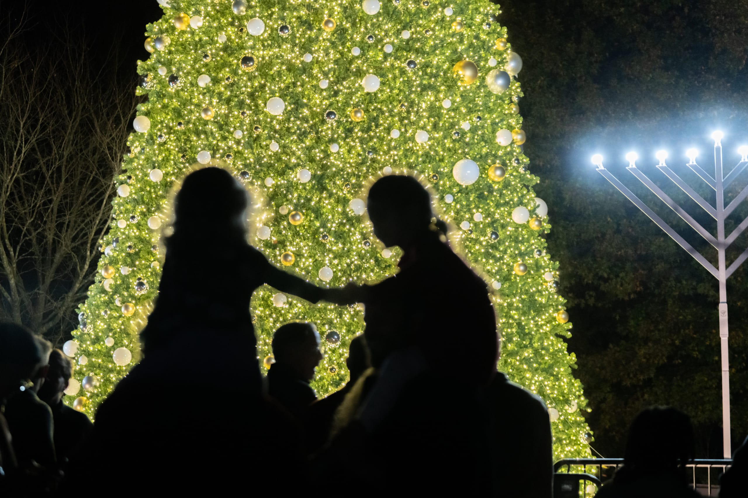 DVPhotoVideo2025_1123_194337-1242MG