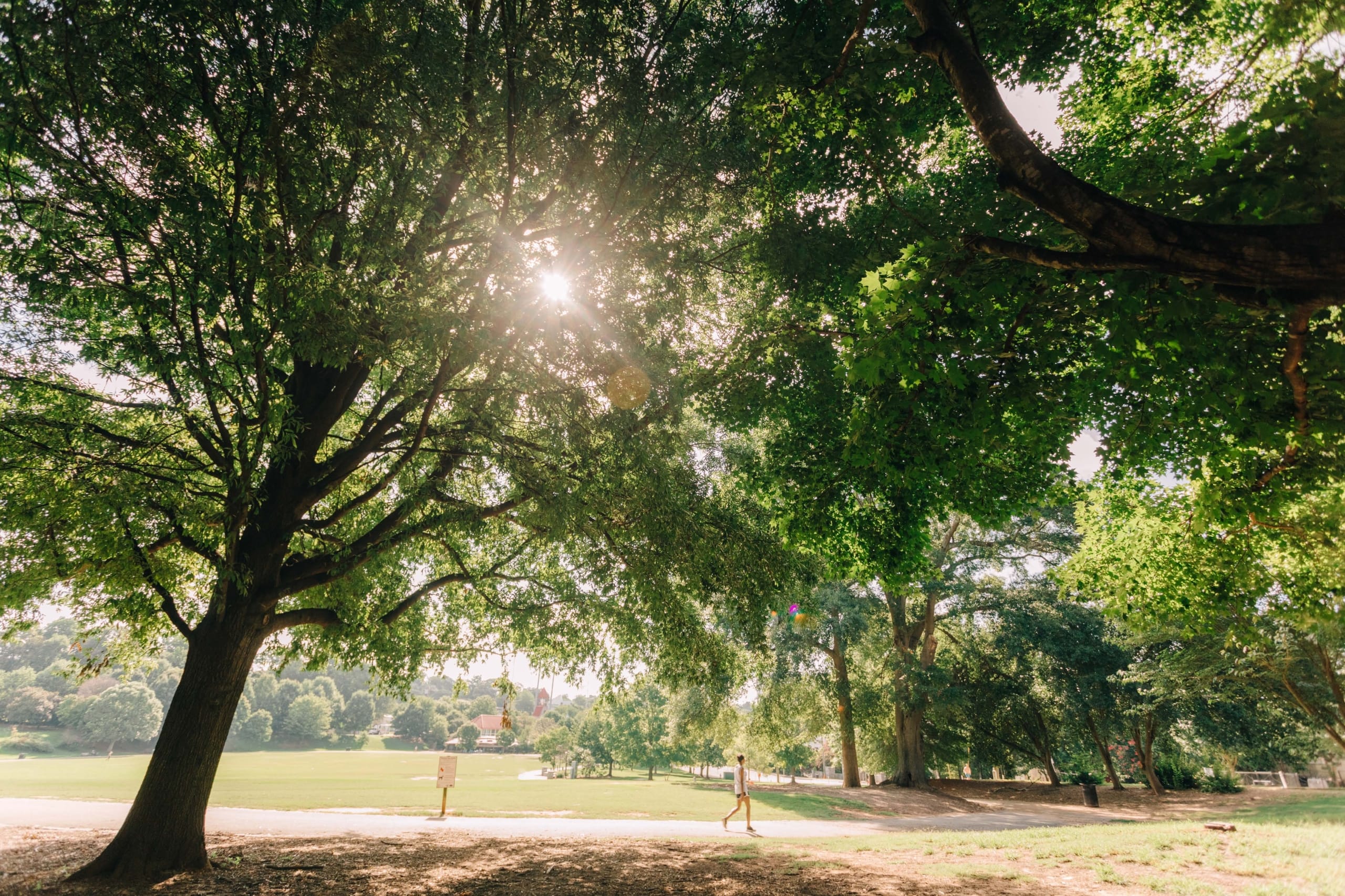 Sunlight filtering through a lush tree canopy in Piedmont Park, with a person walking along a peaceful path surrounded by greenery