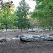 Renovated community dog park with shaded trees, benches, rocks, and open spaces for dogs and their owners.