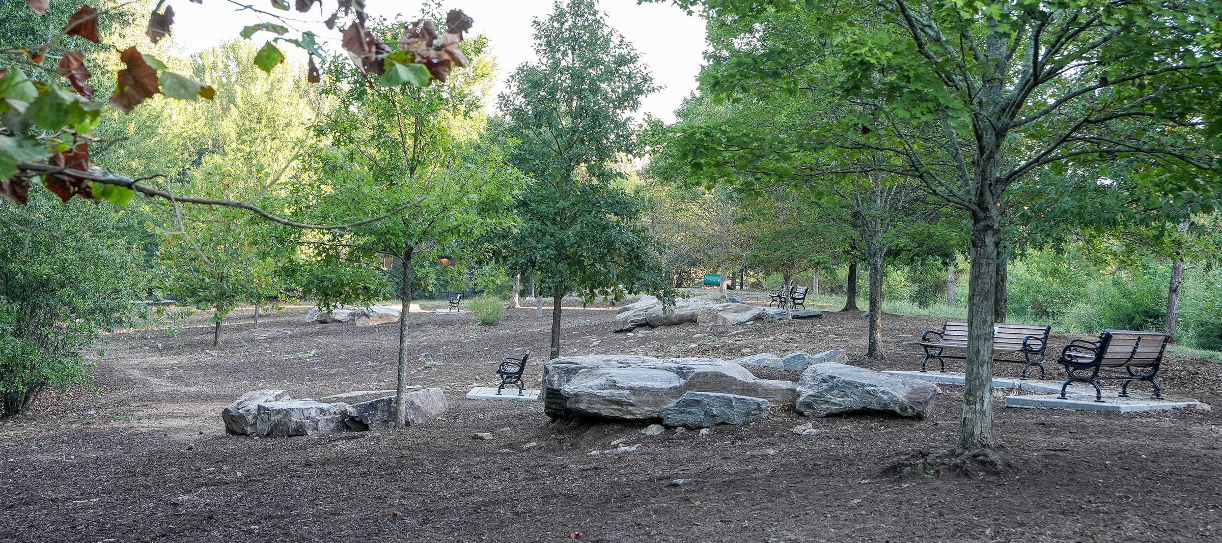 Renovated community dog park with shaded trees, benches, rocks, and open spaces for dogs and their owners.