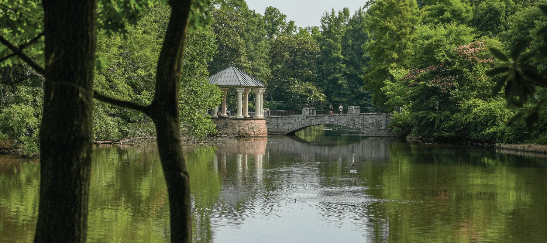 Community gathering at Piedmont Park overlooking Lake Clara Meer and the historic stone bridge Community gathering at Piedmont Park overlooking Lake Clara Meer and the historic stone bridge